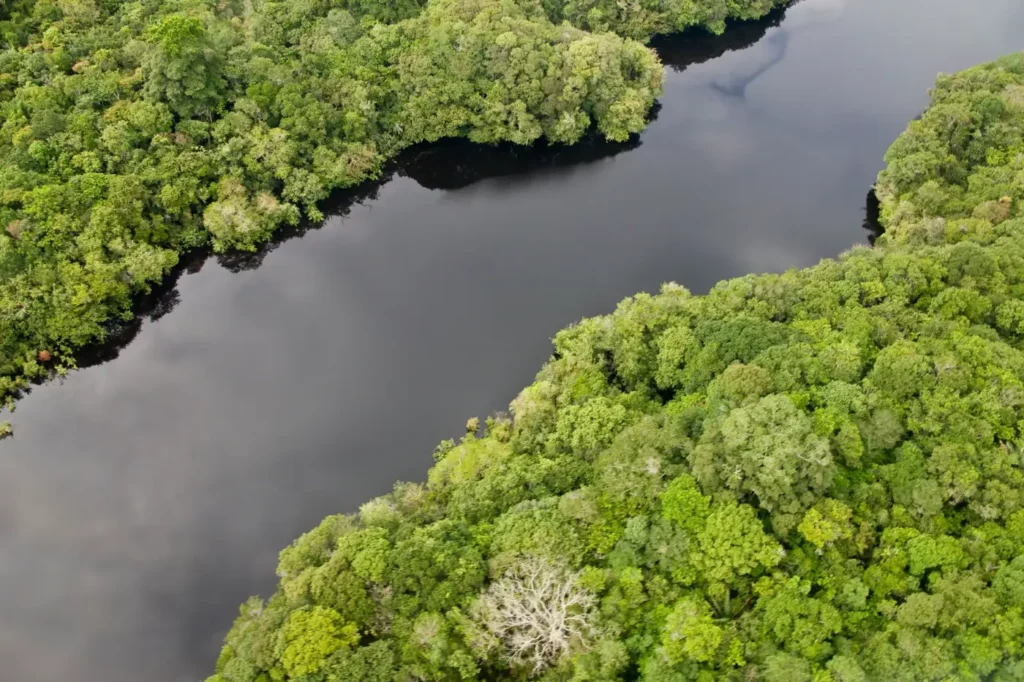 Vista aérea de un río amazónico entre el bosque tropical